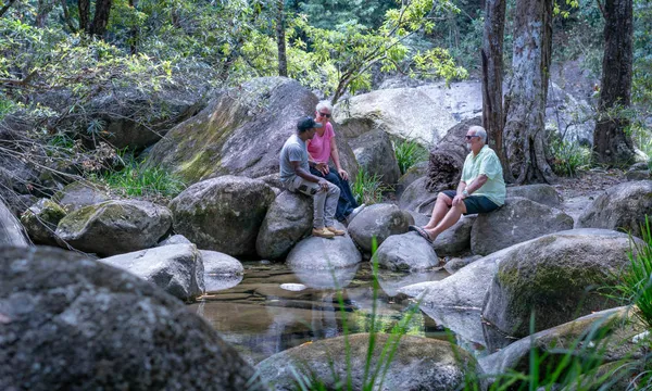 Half Day Private Ngana Julaymba Dungay Tour to Daintree River and Mossman Gorge