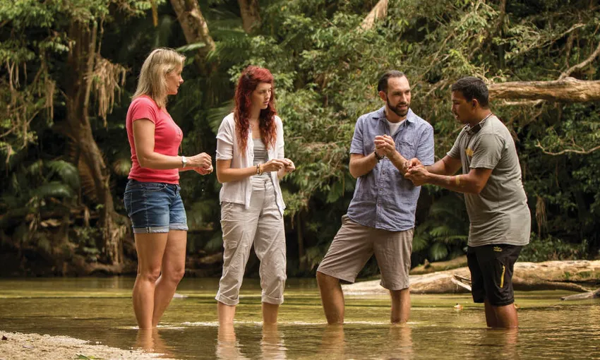 Afternoon Julaymba Dungay Tour to Mossman and Daintree River | Experience Oz