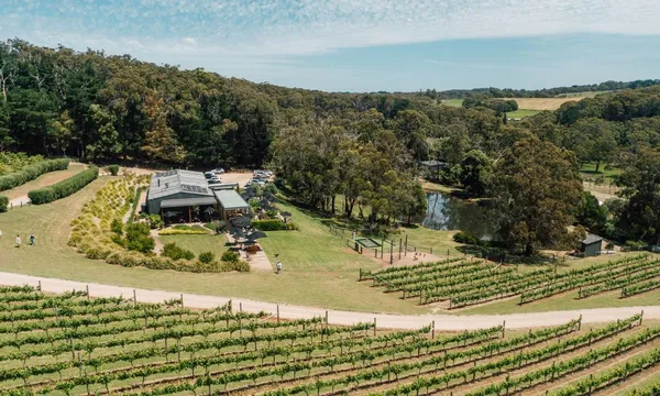 Family Lunch for Four with Grazing Platter and Drinks