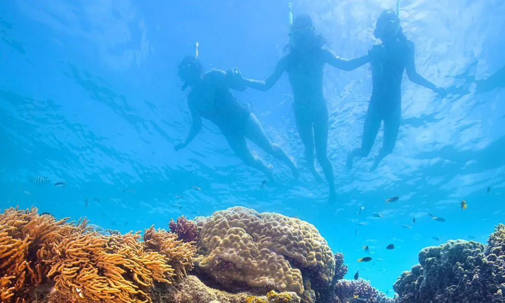 Thundercat Whitsundays 1 Day Tour | Experience Oz-5