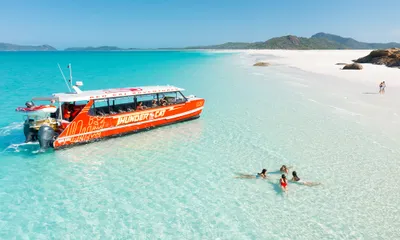 Reef & Island Cruises