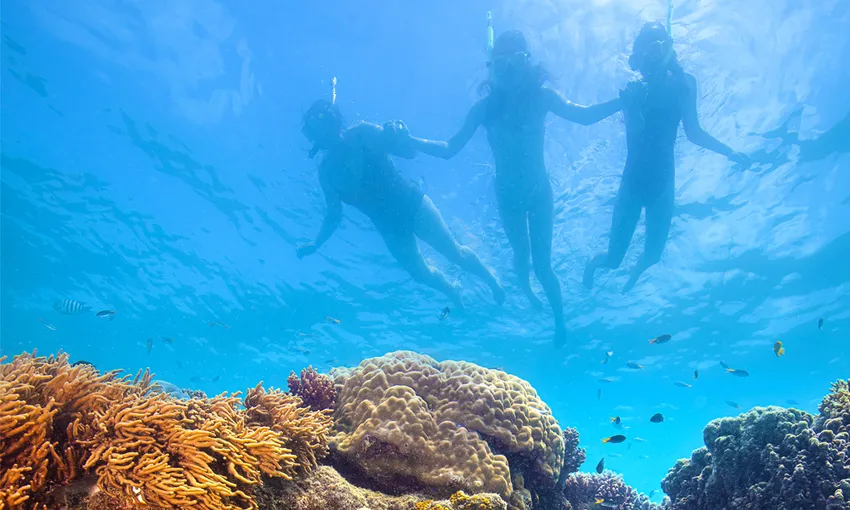 Thundercat Whitsundays 1 Day Tour | Experience Oz