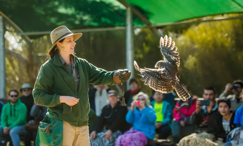 Kangaroo Island Sip & See Full Day Tour from Adelaide with Lunch