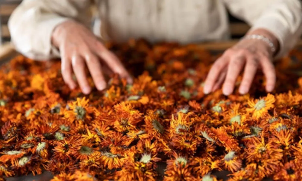 Jurlique Farm Tour - Book Now | Experience Oz-2