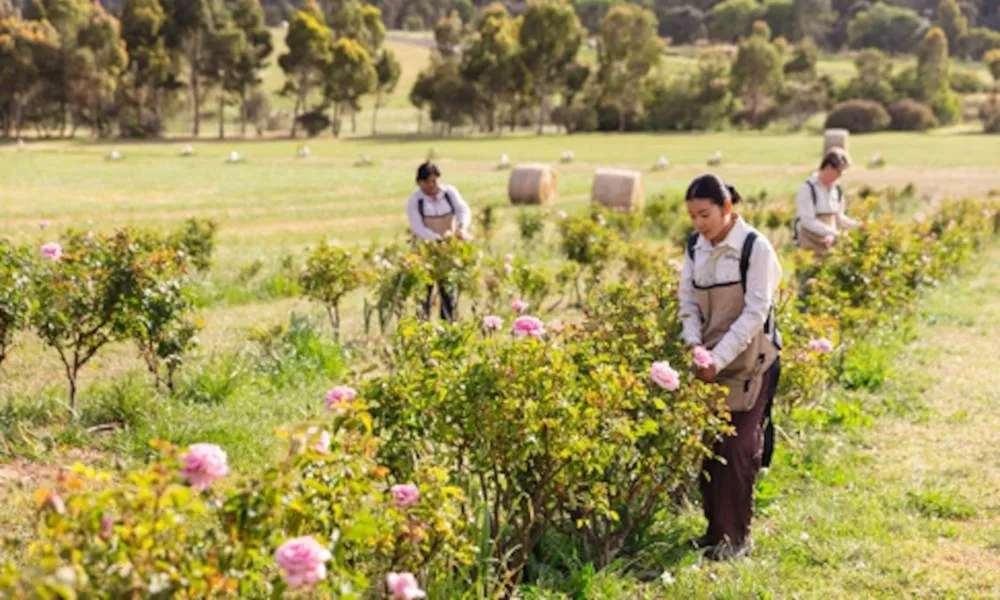 Jurlique Farm Tour - Book Now | Experience Oz-1