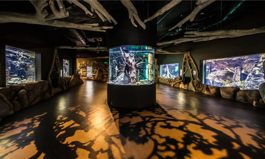 Cairns Aquarium Tickets | Experience Oz