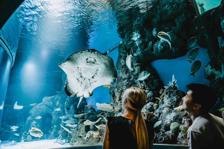 Cairns Aquarium Tickets | Experience Oz