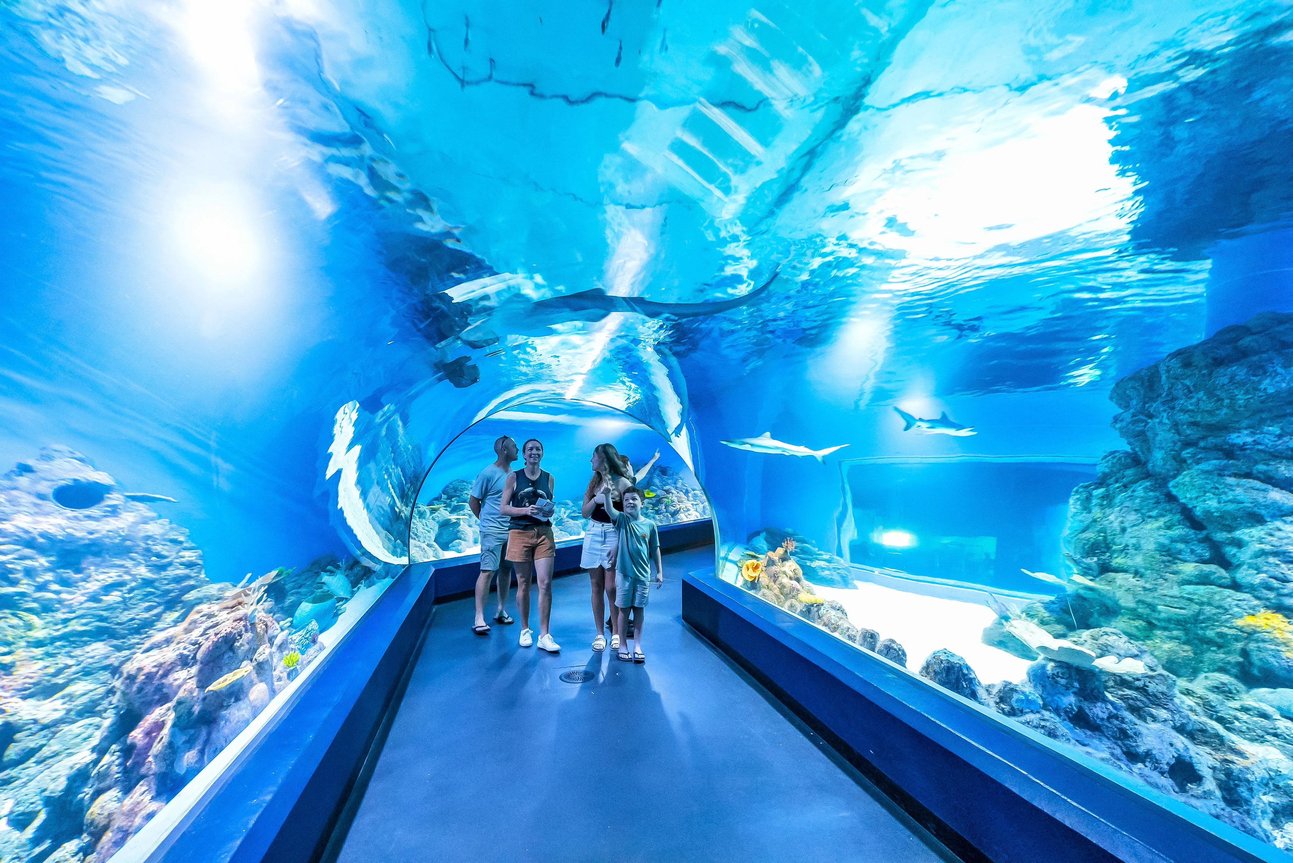 Cairns Aquarium Tickets | Experience Oz-9