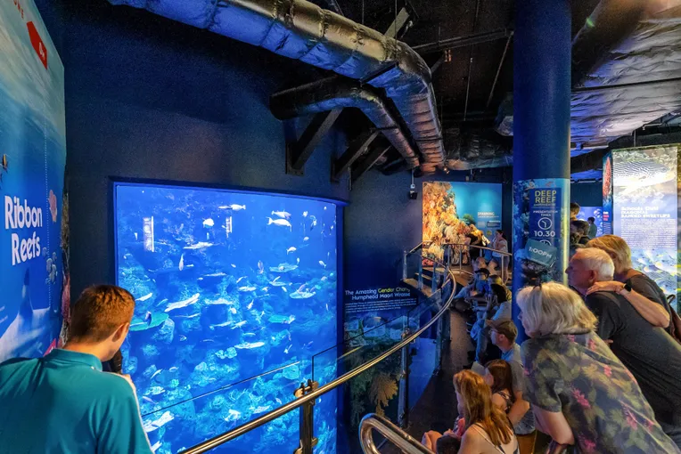 Cairns Aquarium Tickets | Experience Oz