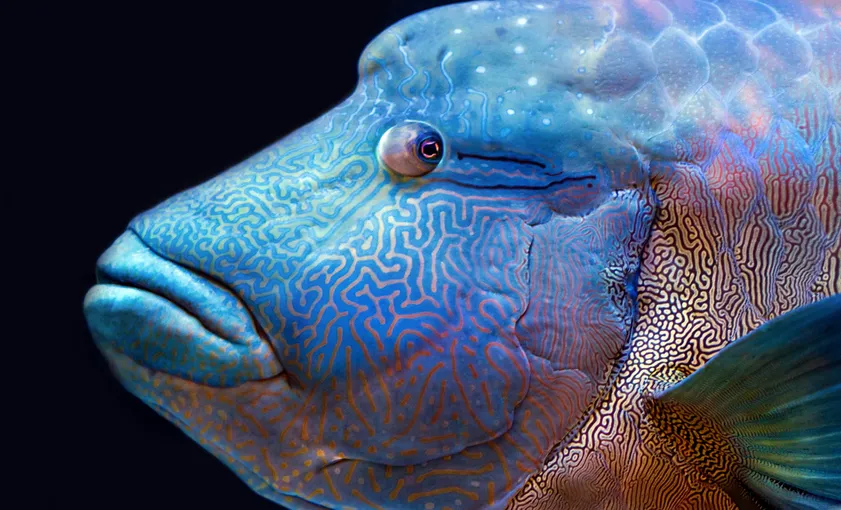 Cairns Aquarium Tickets | Experience Oz