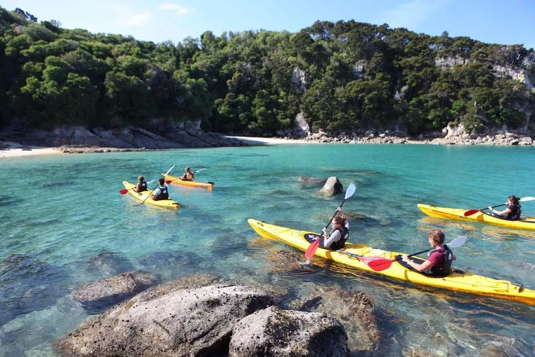 Morning Walking & Kayak Tour - Book Now | Experience Oz