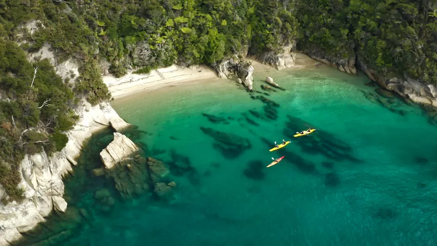 Abel Tasman Full Day Sea Kayaking Tour - Book Now | Experience Oz