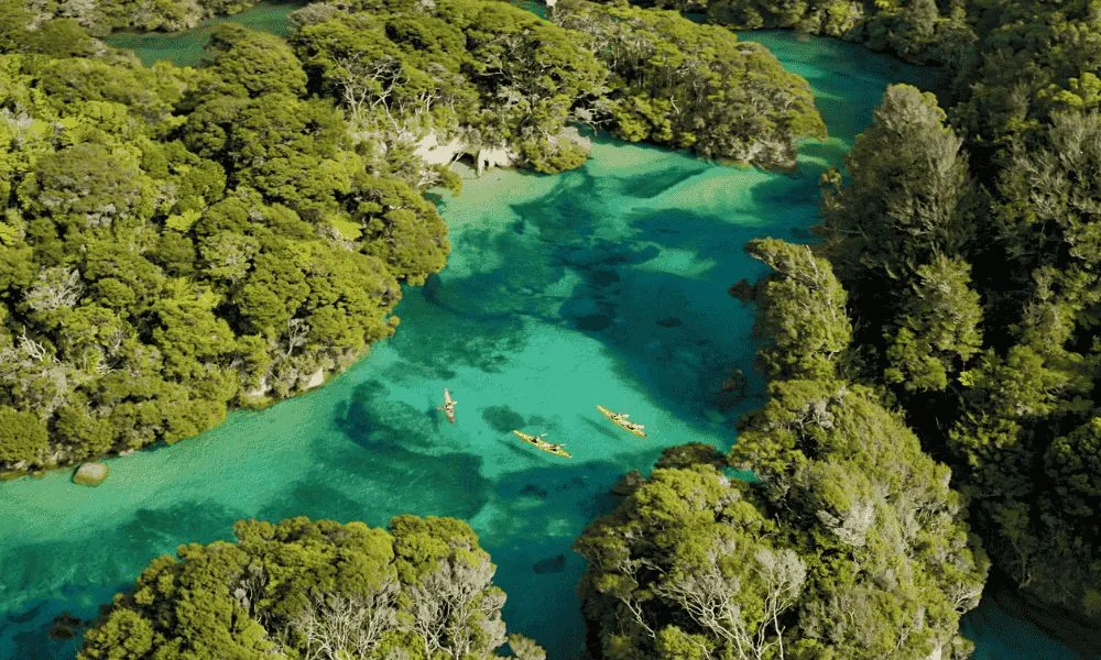 Abel Tasman Kayak Hire - Book Now | Experience Oz-3