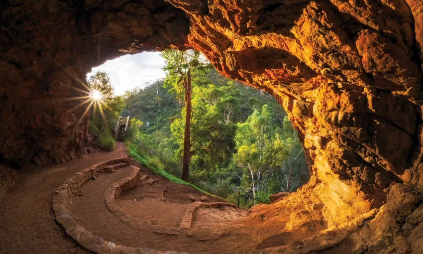 Adelaide Wilderness & Wildlife Hike - Book Now | Experience Oz