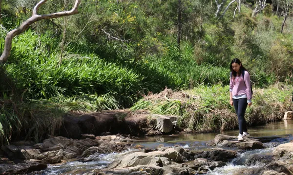 Morialta Wilderness and Wildlife Hike
