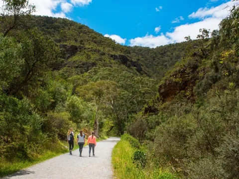Morialta Wilderness and Wildlife Hike