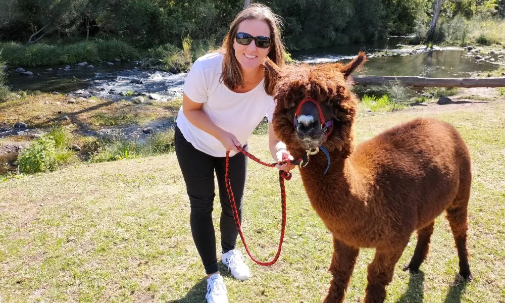 Gold Coast Lamington National Park Day Tour - Book Now | Experience Oz-5