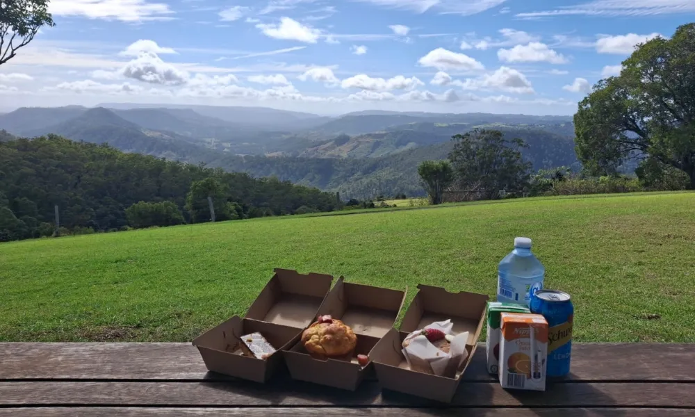 Gold Coast Lamington National Park Day Tour - Book Now | Experience Oz-4