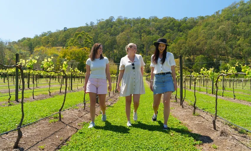 Gold Coast Lamington National Park Day Tour - Book Now | Experience Oz