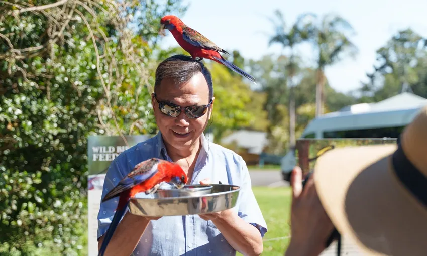 Gold Coast Lamington National Park Day Tour - Book Now | Experience Oz