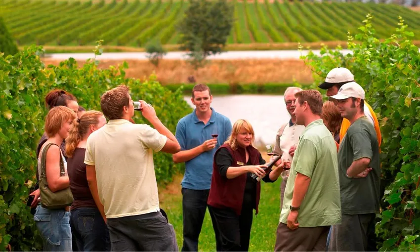 Yarra Valley Wine Tour Melbourne | Experience Oz