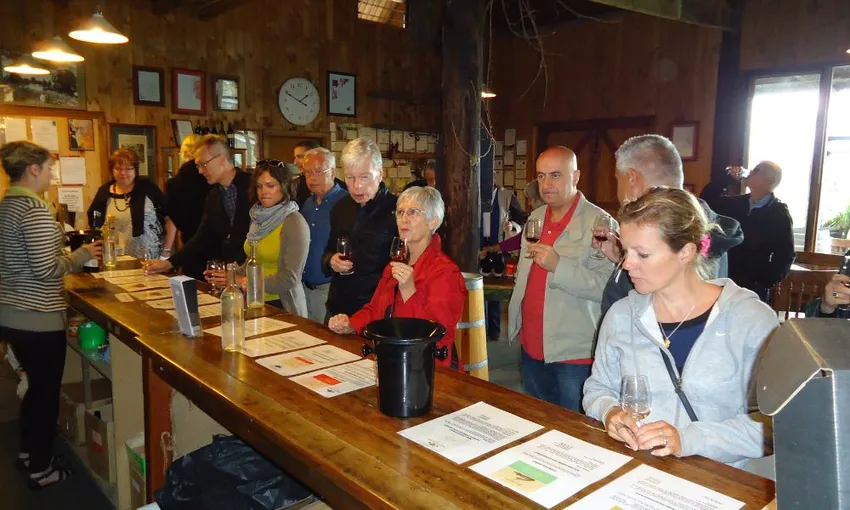 Yarra Valley Wine Tour Melbourne | Experience Oz