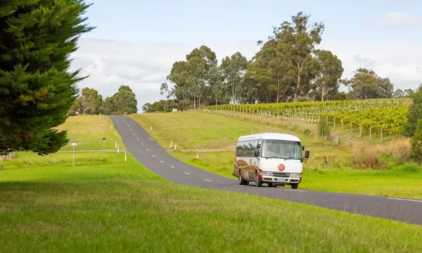 Yarra Valley Wine Tour Melbourne | Experience Oz