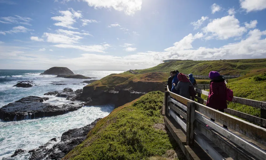 Phillip Island and Brighton Beach Tour | Experience Oz