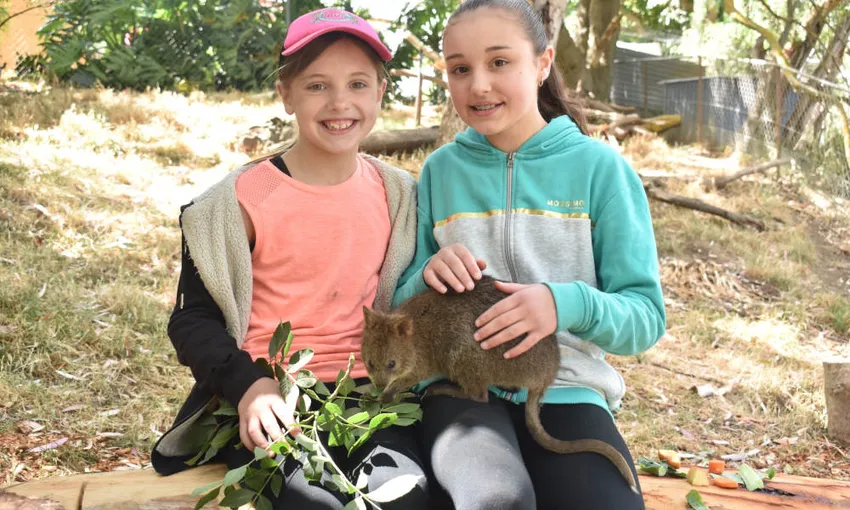 Gorge Wildlife Park Tickets - Buy Now | Experience Oz