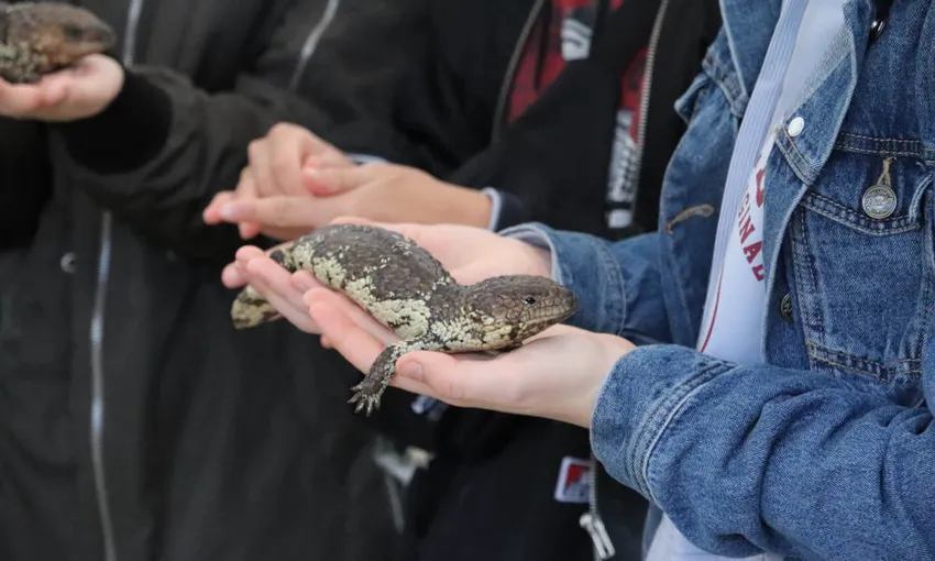 Gorge Wildlife Park Tickets - Buy Now | Experience Oz
