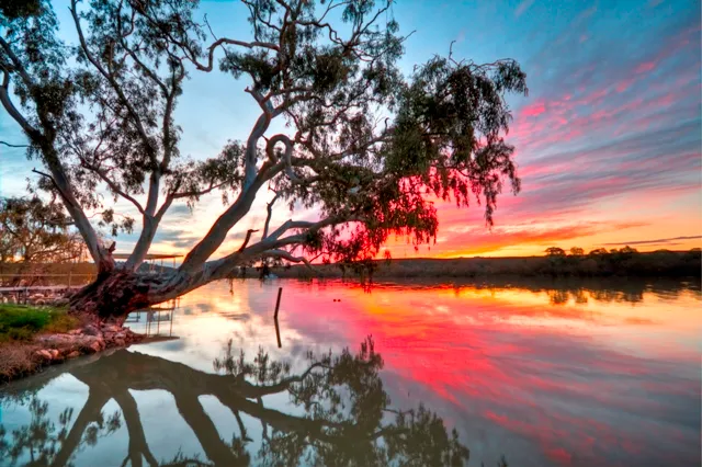 Murray River Stargazing Tour With Dinner - Book Now | Experience Oz