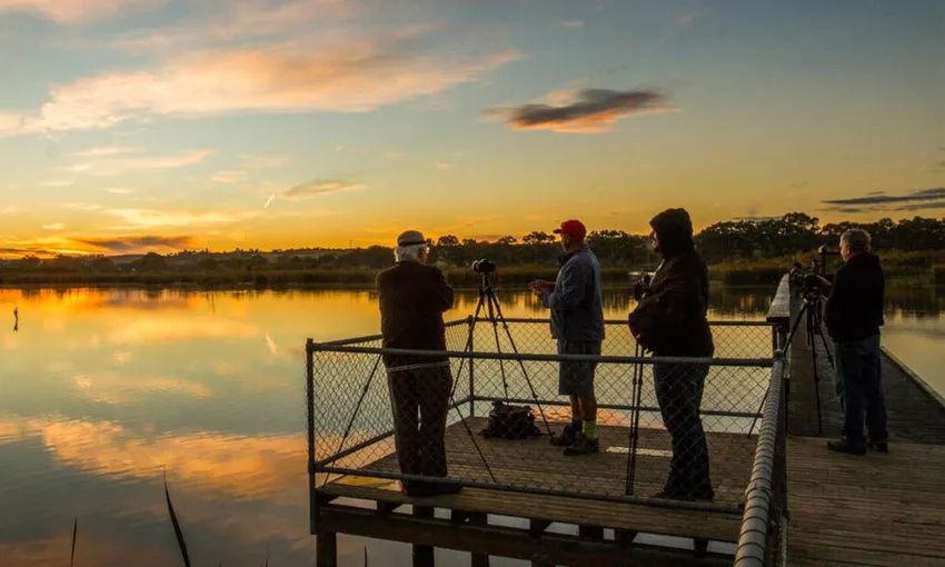 Murray River Stargazing Tour With Dinner - Book Now | Experience Oz