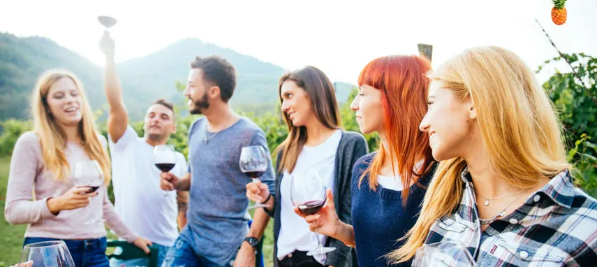 Gold Coast Full Day Winery Tour from Brisbane- Book Now | Experience Oz