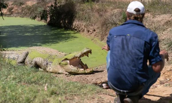 Top End Safari Camp Day Tour from Darwin