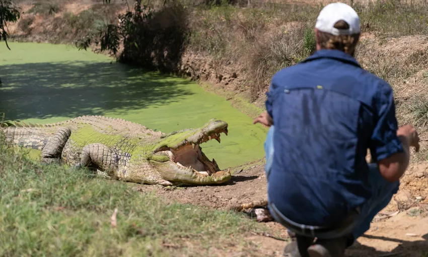 Matt Wright Safari Camp Day Tour- Book Now | Experience Oz