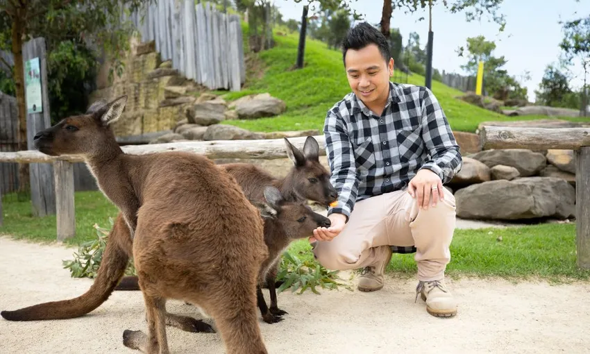 Blue Mountains Tour with Scenic World Entry | Experience Oz