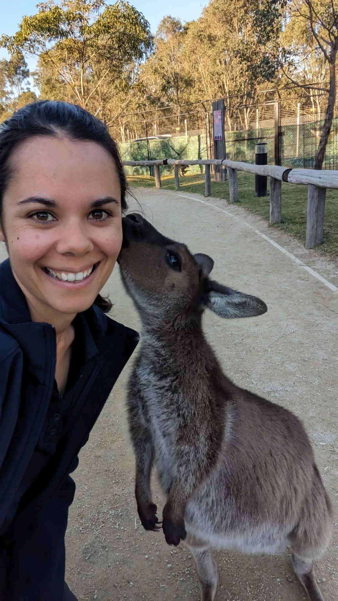 Blue Mountains Tour with Scenic World Entry | Experience Oz-9