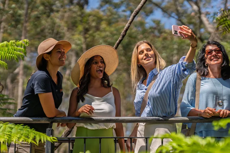 Blue Mountains Tour with Scenic World Entry | Experience Oz