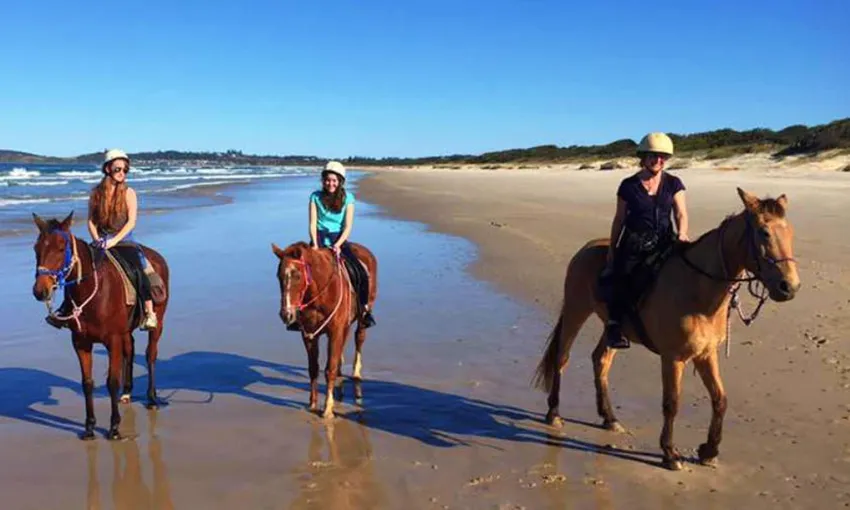 Byron Bay Beach Horse Riding - Book Now | Experience Oz