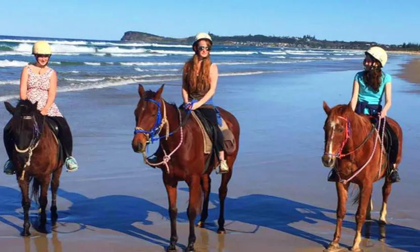 Byron Bay Beach Horse Riding - Book Now | Experience Oz