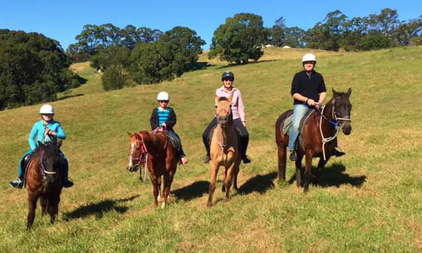 Byron Bay Beach Horse Riding - Book Now | Experience Oz
