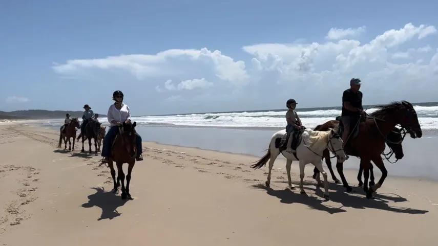 Byron Bay Beach Horse Riding - Book Now | Experience Oz