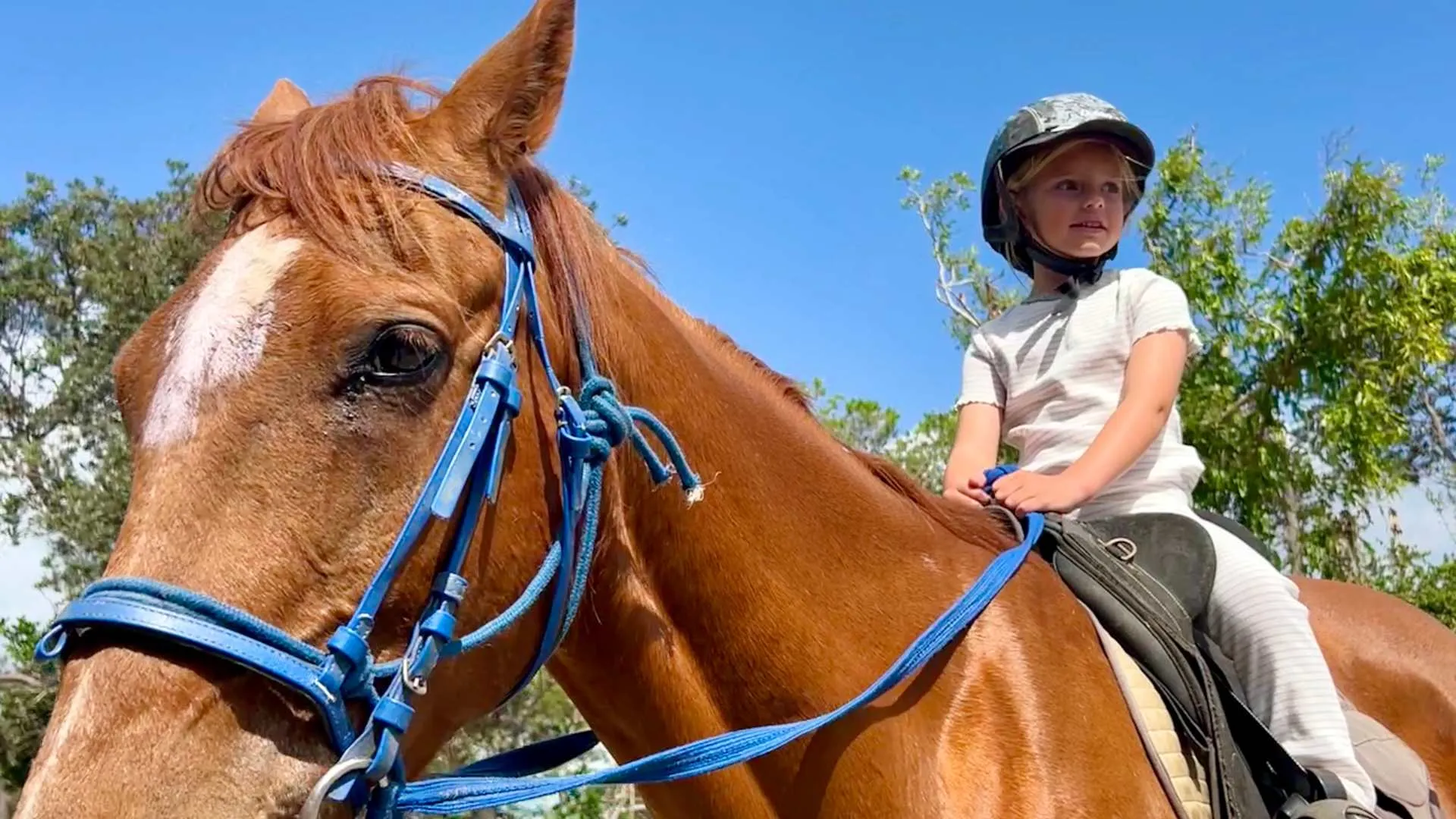 Byron Bay Beach Horse Riding - Book Now | Experience Oz-2