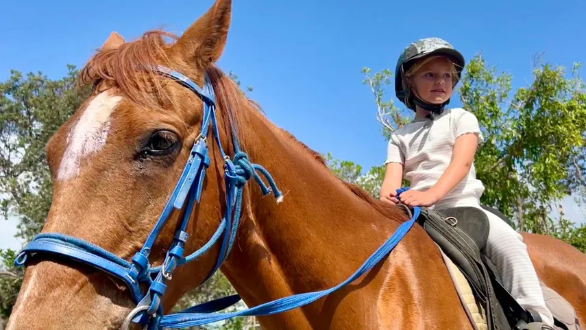Byron Bay Beach Horse Riding - Book Now | Experience Oz