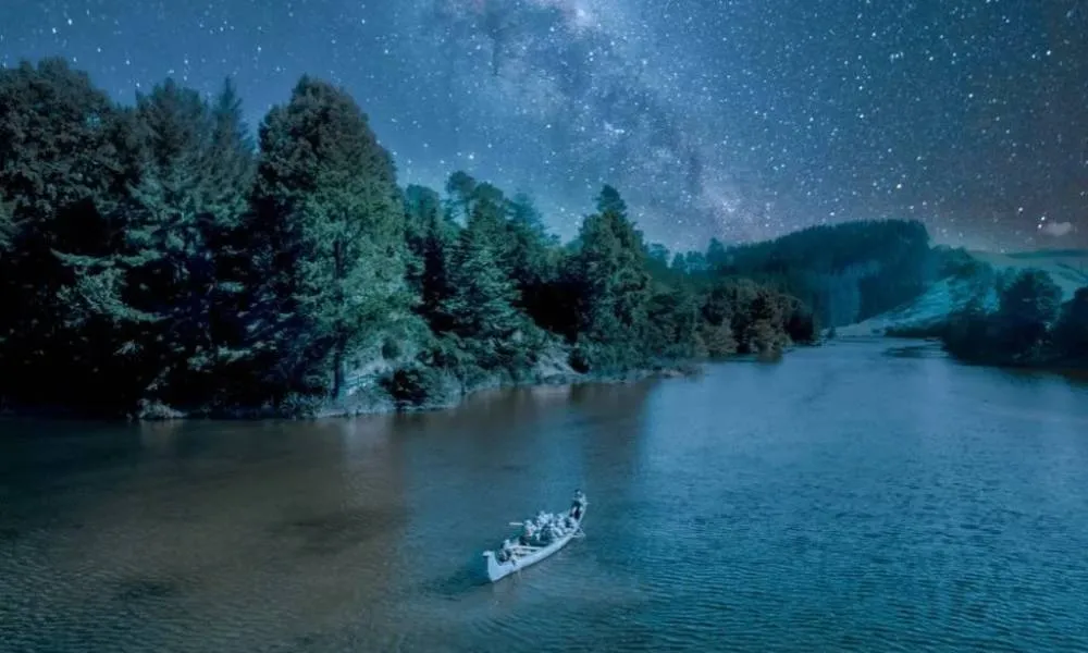 Tauranga Evening Big Kanu Glowworm Tour - Book Now | Experience Oz-3