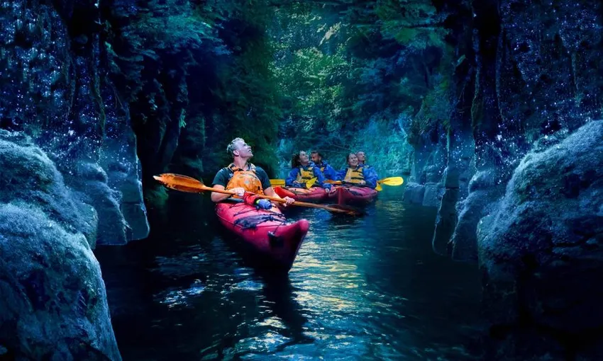 Tauranga Evening Big Kanu Glowworm Tour - Book Now | Experience Oz