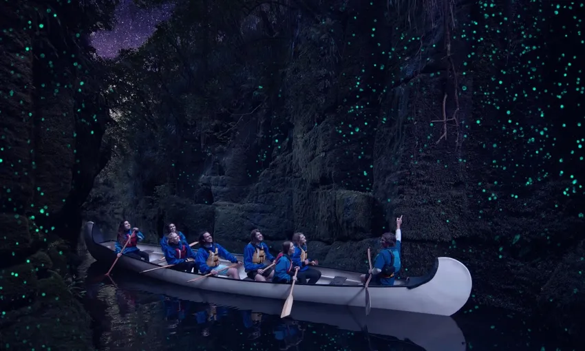 Tauranga Evening Big Kanu Glowworm Tour - Book Now | Experience Oz