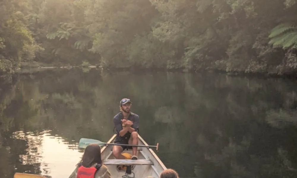 Tauranga Evening Big Kanu Glowworm Tour - Book Now | Experience Oz-2