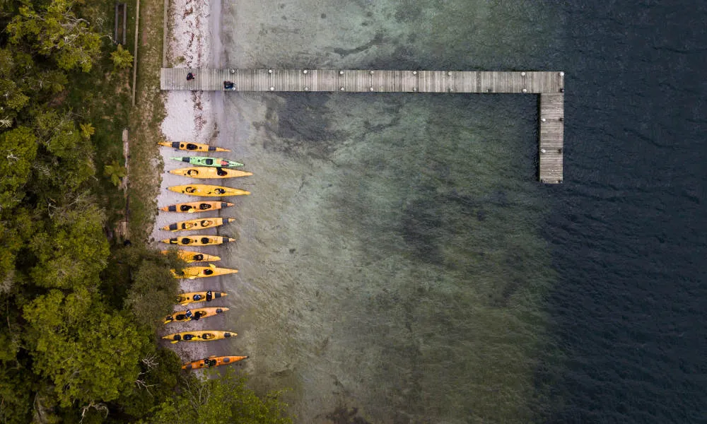 Rotorua Evening Starlight Kayak Tour with Glowworms | Experience Oz-3
