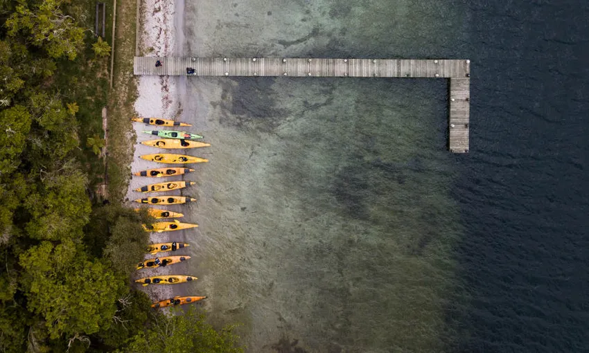 Rotorua Evening Starlight Kayak Tour with Glowworms | Experience Oz